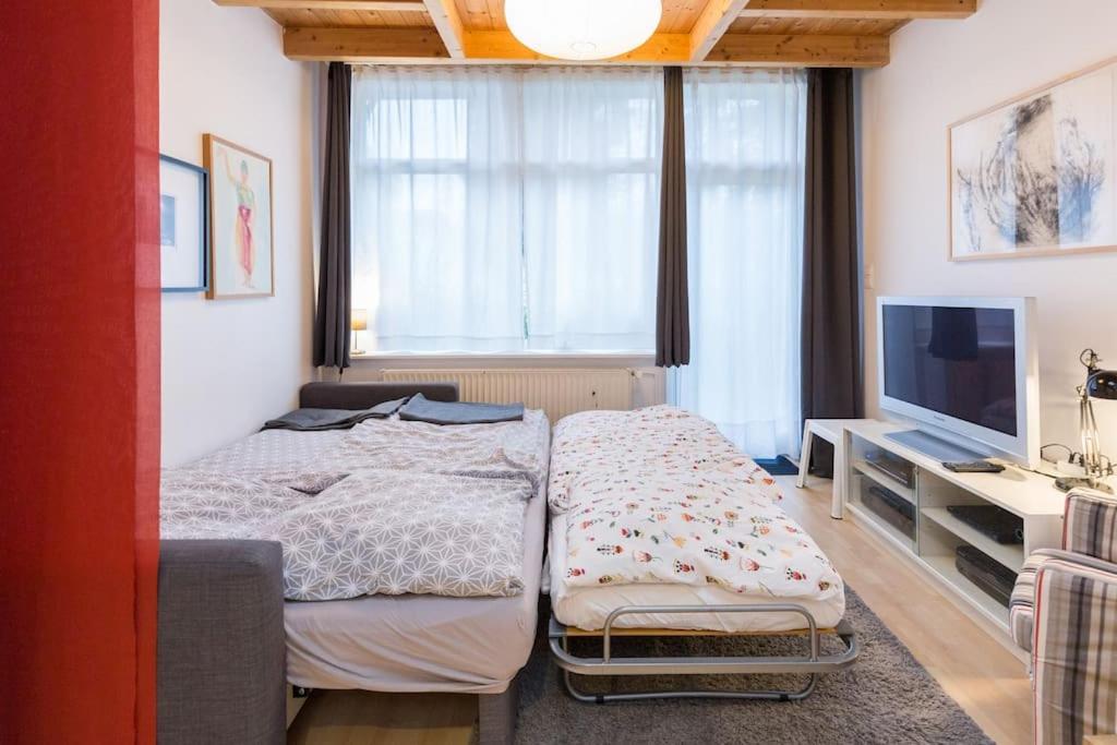 Apartment Wilhelmstr Fuer Bis Zu 3 Personen Bruehl  Ngoại thất bức ảnh